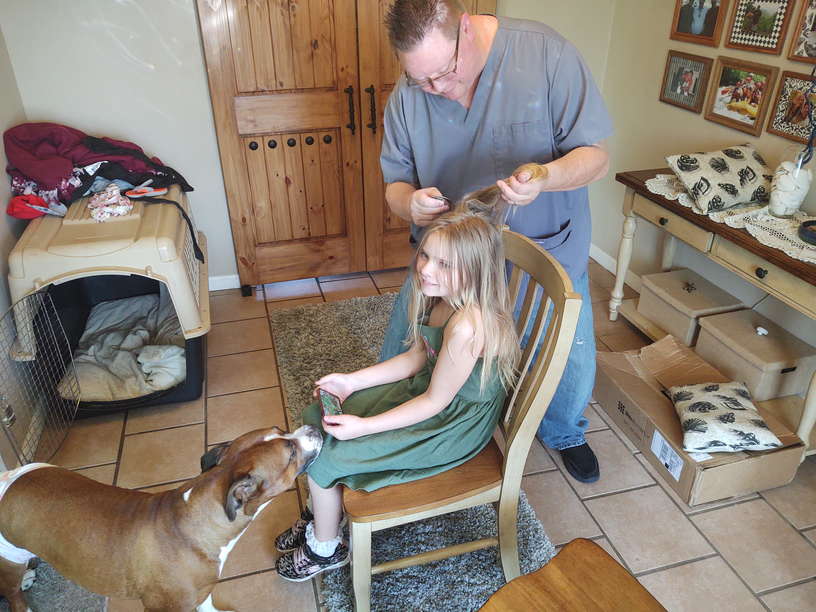 Head Lice Treatment Removal Service in Central Illinois, Illinois